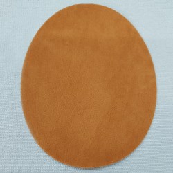 EBK23 camel_pair